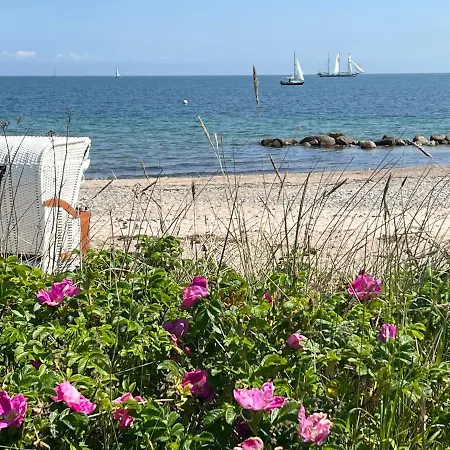 Seelund - Meeresrauschen Lauschen - Ruhiges Sonniges Mit Garten Und Terrasse Nahe Und Ostsee Schönhagen