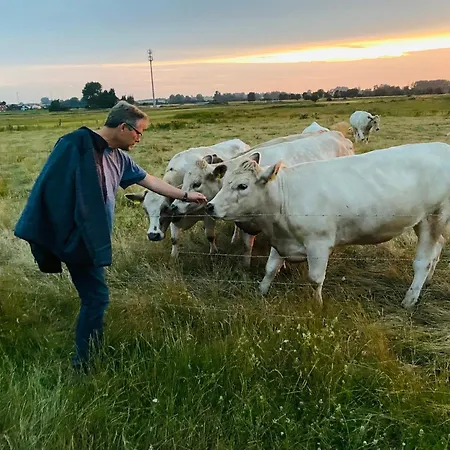 Apartman Seelund - Meeresrauschen Lauschen - Ruhiges Sonniges Mit Garten Und Terrasse Nahe Und Ostsee Schönhagen